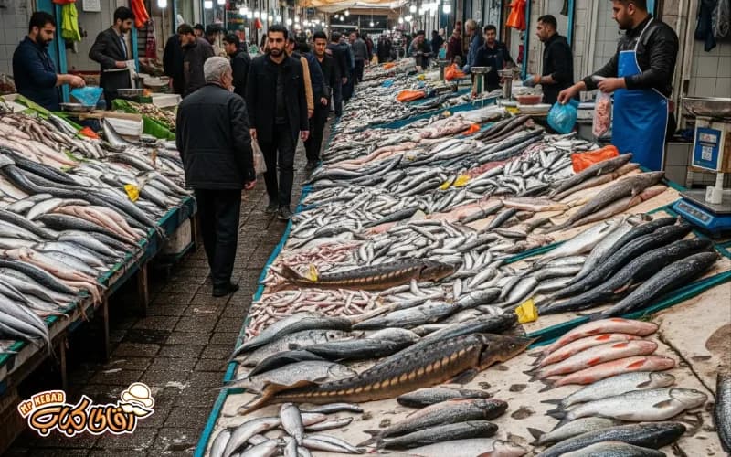 راهنمای خرید ماهی