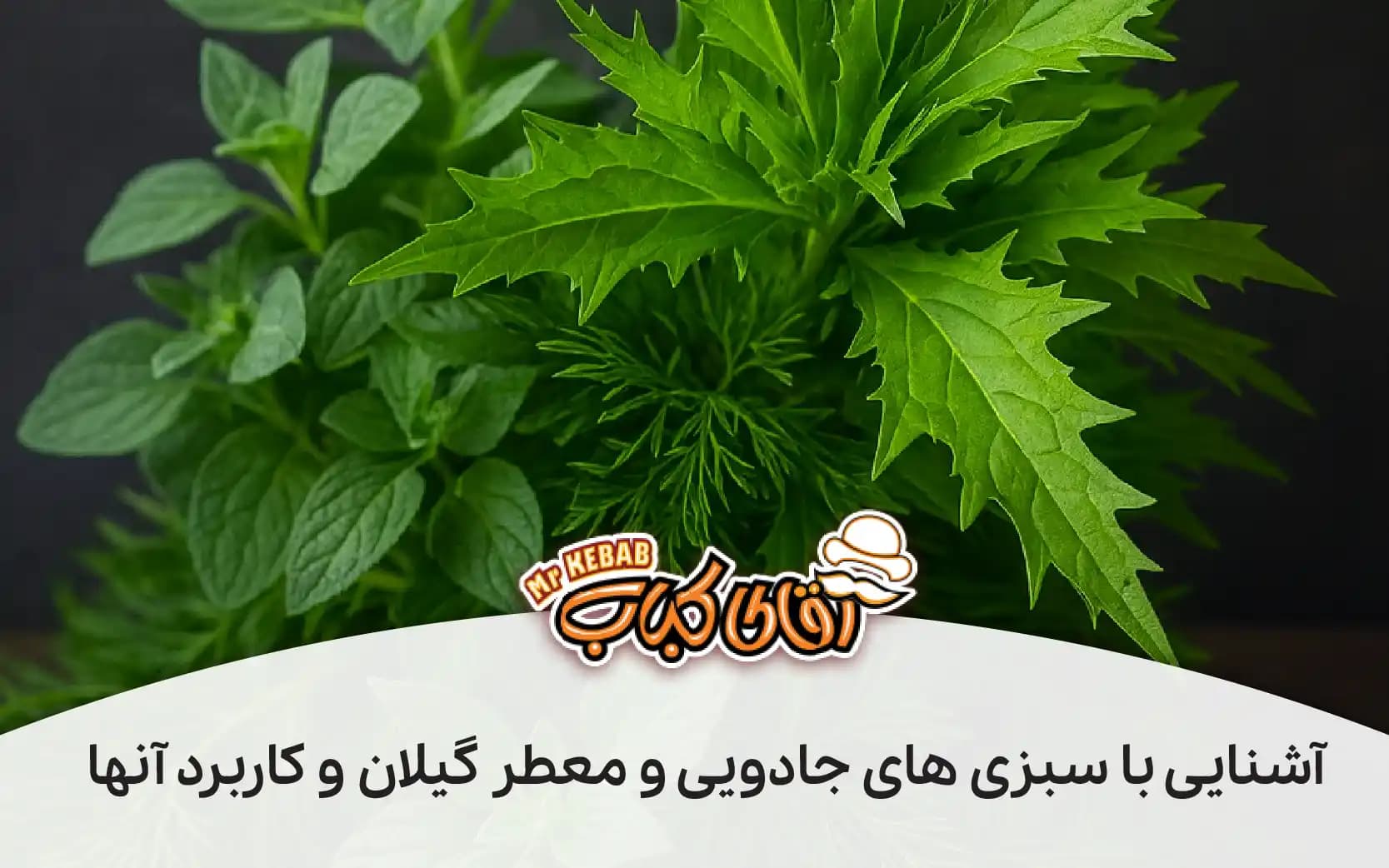 کاربرد سبزی چوچاق و خالواش: آشنایی با سبزی‌ های جادویی و معطر گیلان