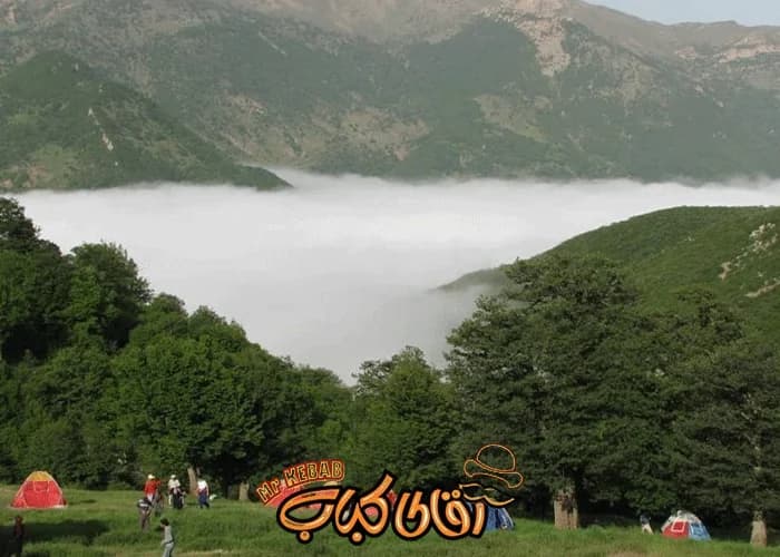 جنگل ابر شاهرود؛ جایی که روی ابرها قدم می‌ زنی