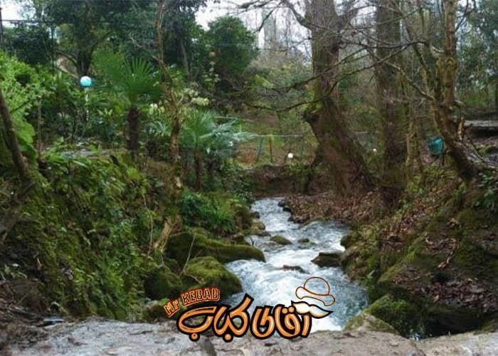 چشمه دمکش؛ چشمه ‌ای که غیب میشه!