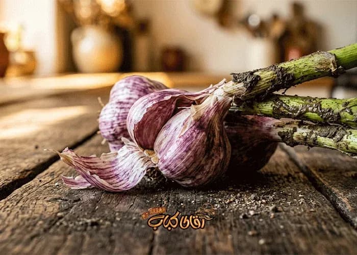 سرویس بیرون بر