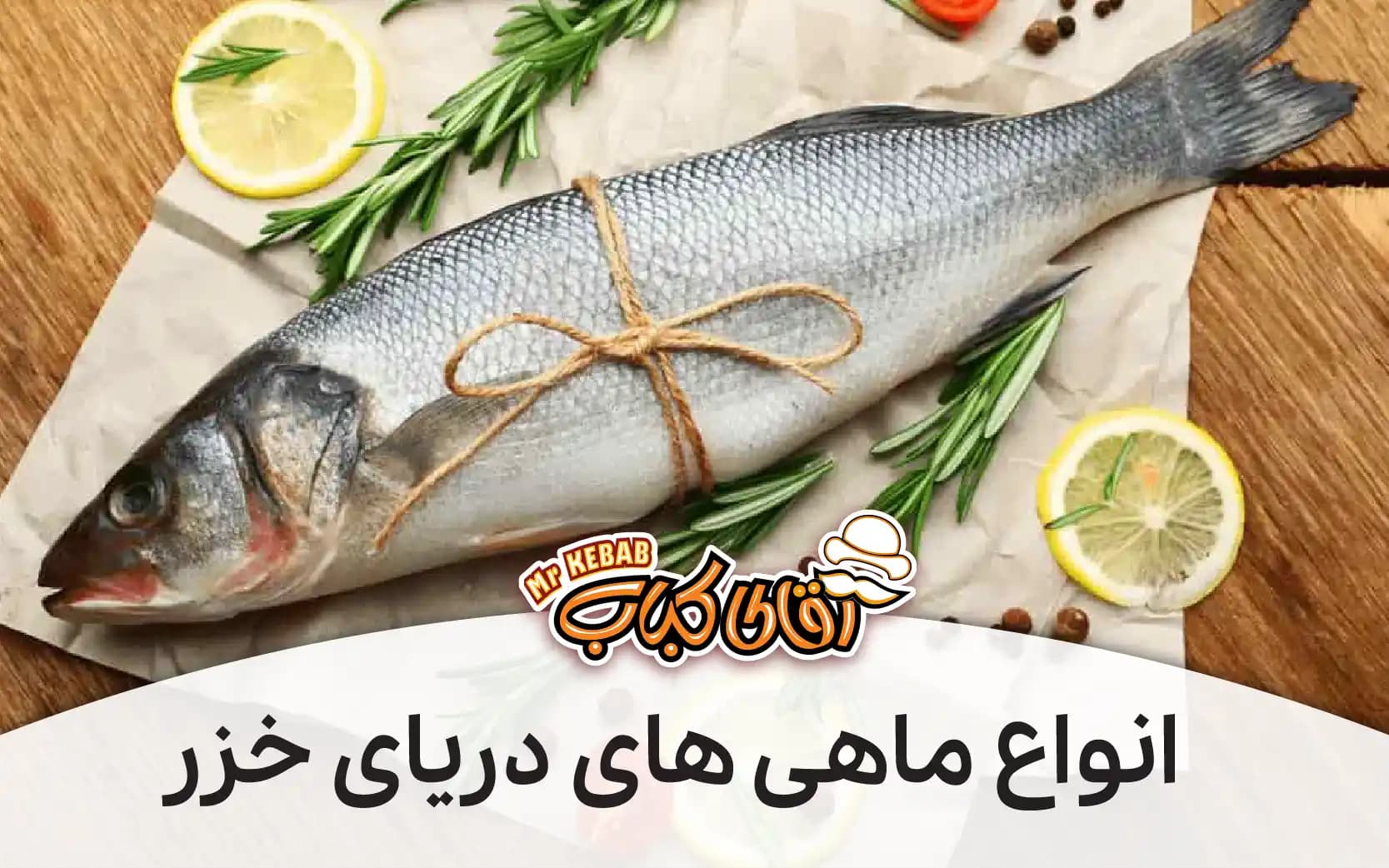 انواع ماهی های دریایی خزر: بهترین ماهی برای کباب، برای شکم پر و برای سرخ کردن کدام یکی است؟