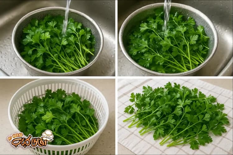 روش نگهداری سبزی شمالی