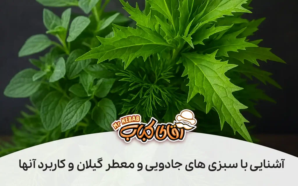 کاربرد سبزی چوچاق