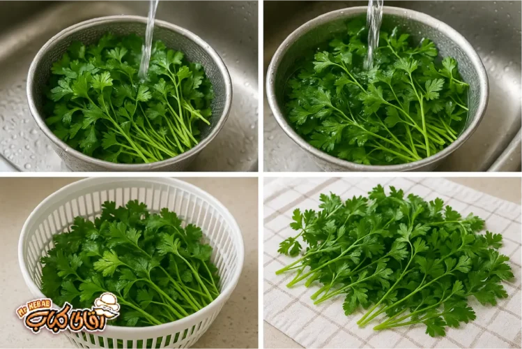 روش نگهداری سبزی شمالی