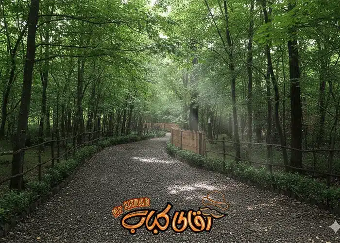 مسیر پیاده روی در پارک جنگلی سراوان و محوطه موزه روستایی گیلان