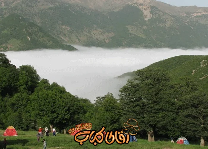 جنگل ابر شاهرود؛ جایی که روی ابرها قدم می‌ زنی