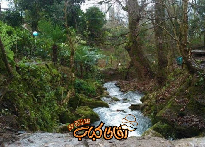 چشمه دمکش؛ چشمه ‌ای که غیب میشه!