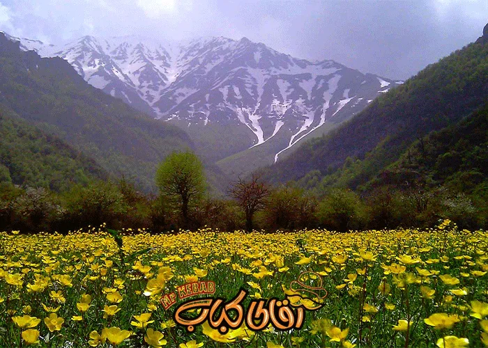 منظره‌ ای خیره‌کننده از دشت دریاسر